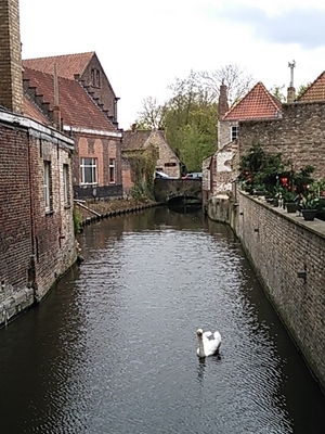 DSC_3517.JPG